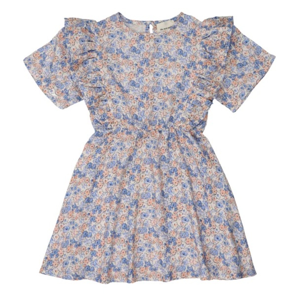 The New Society Floral dress size 4